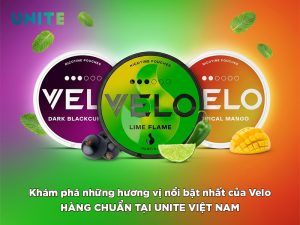 Khám phá những hương vị nổi bật nhất của Velo thương hiệu hàng đầu thế giới