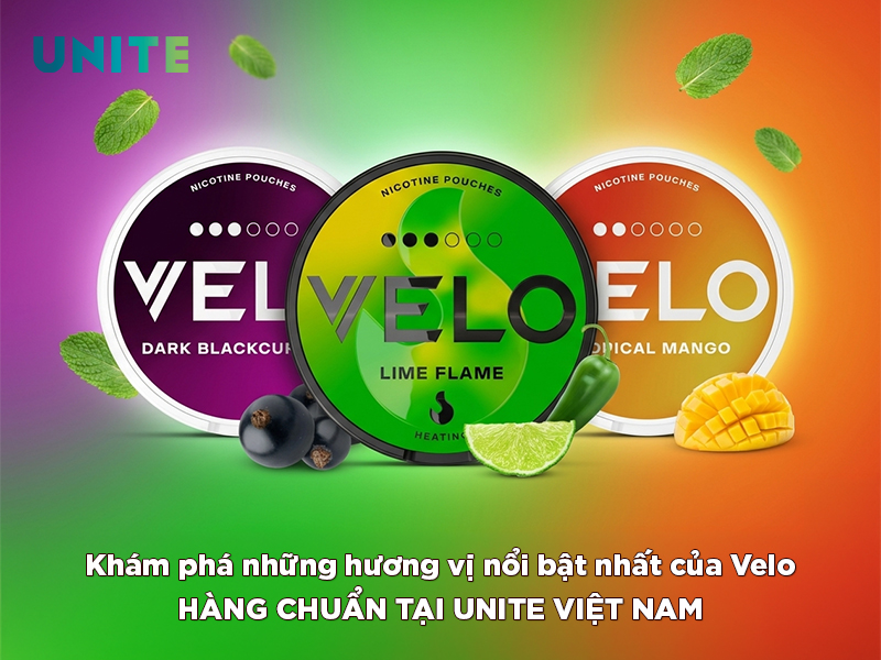 Khám phá những hương vị nổi bật nhất của Velo thương hiệu hàng đầu thế giới