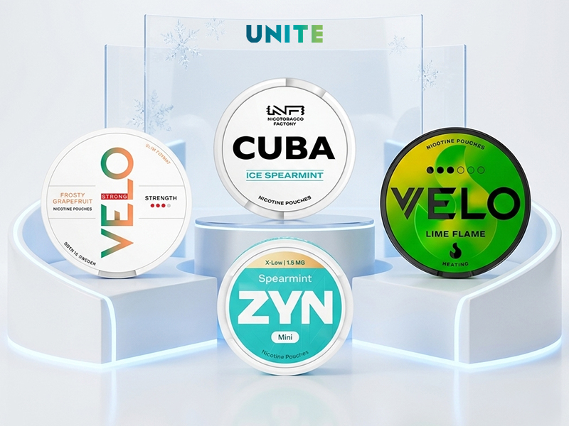 Kiến thức cần thiết cho người mới bắt đầu với nicotine pouches