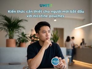 Kiến thức cần thiết cho người mới bắt đầu với nicotine pouches