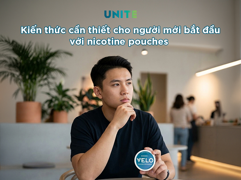 Kiến thức cần thiết cho người mới bắt đầu với nicotine pouches