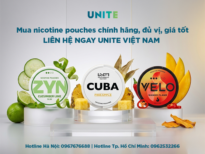 Túi ngậm nicotine có bị cấm không