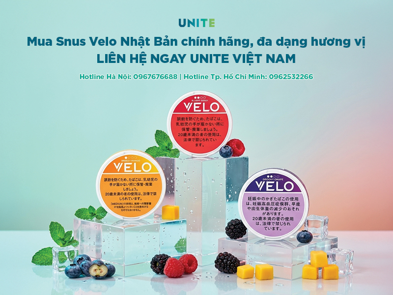 Mua Snus Velo Nhật Bản