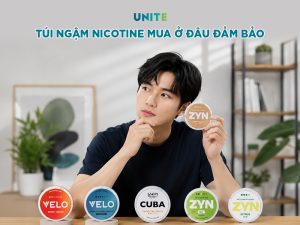 Địa chỉ mua túi ngậm nicotine