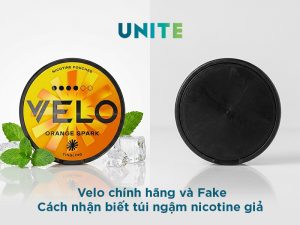 Dấu hiệu nhận biết Velo chính hãng và hàng giả