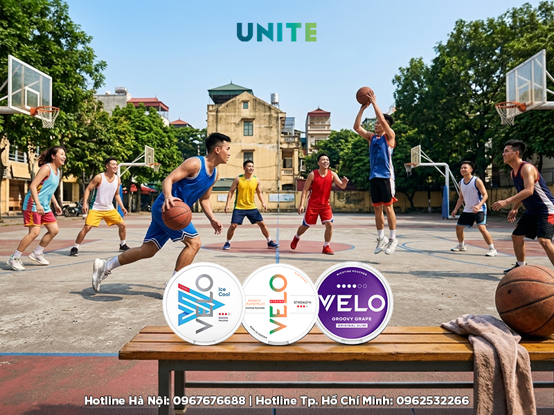 Velo mua ở đâu TP.HN