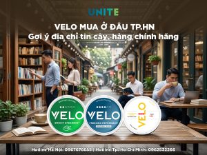 velo Hà Nội