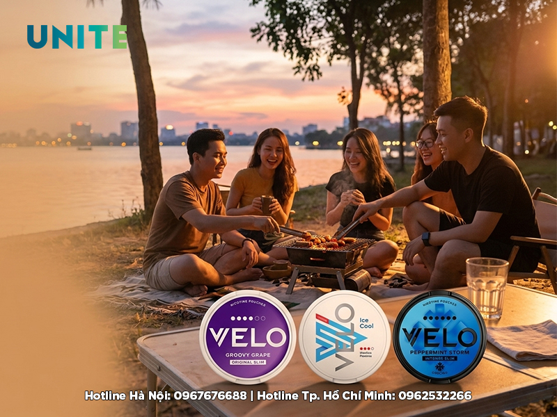 Velo nicotine túi HN