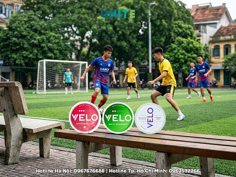 Velo Thuỵ Điển mua ở đâu HN