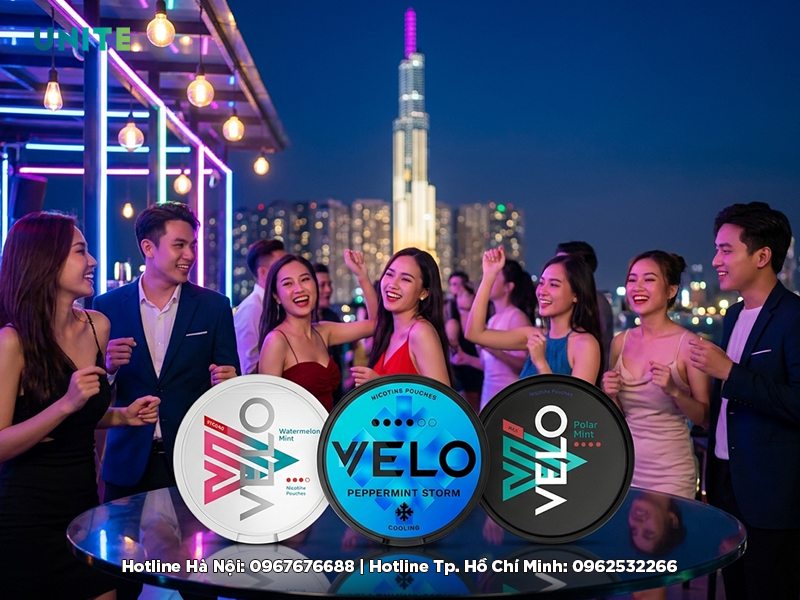 Velo nicotine túi HCM