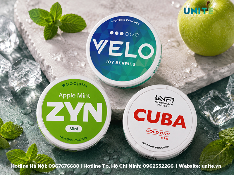 mua túi ngậm nicotine vận chuyển hoả tốc