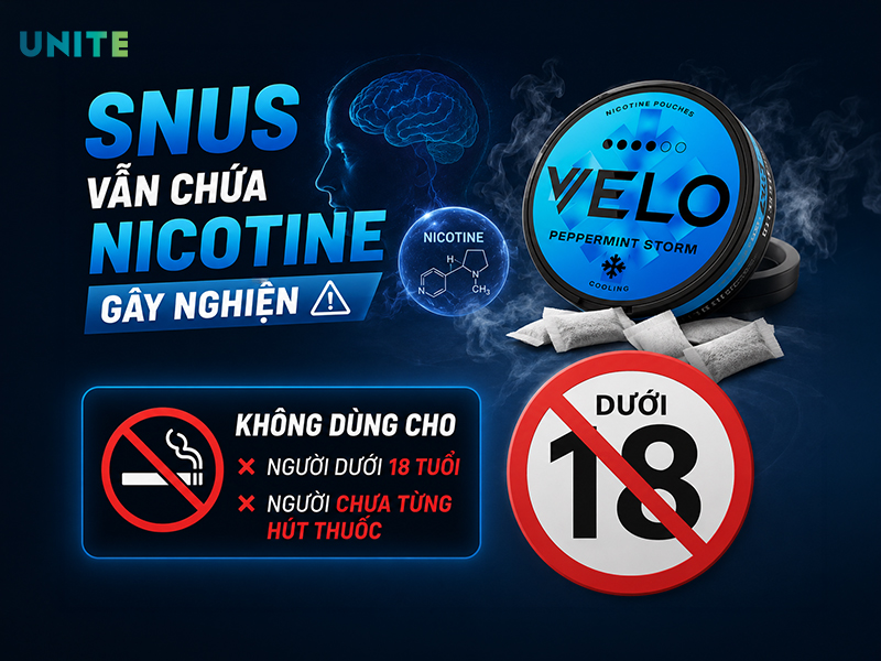 tác động của túi ngậm nicotine